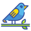Bird skills icon